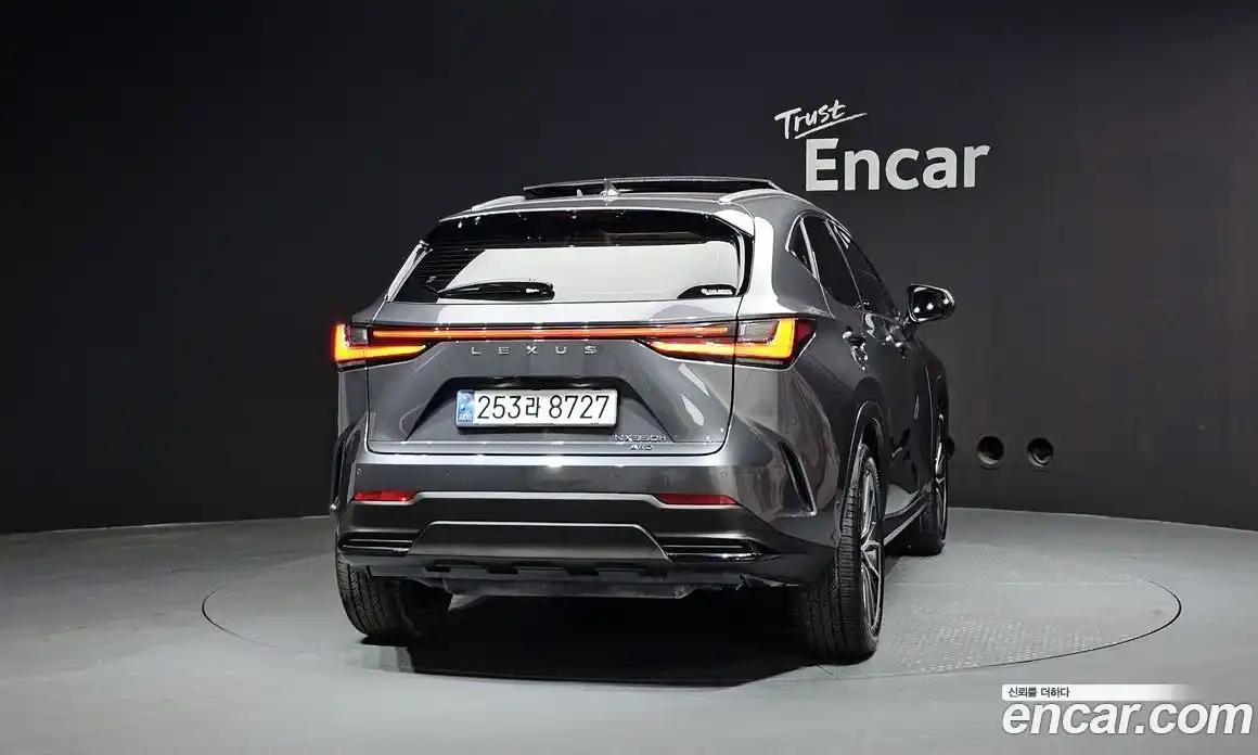 Lexus NX 2024 2.5 гидро в Москве № 1150713, фото 4
