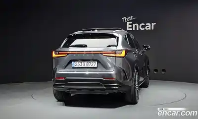 Lexus NX 2024 2.5 гидро в Москве № 1150713, миниатюра 4