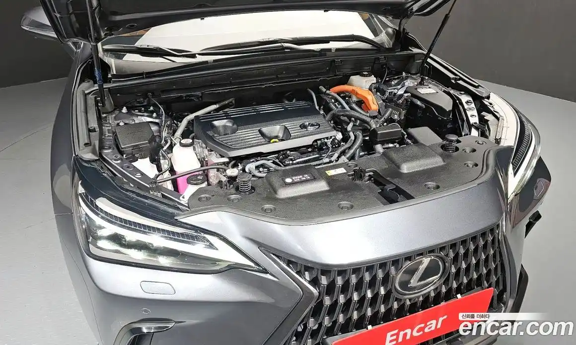 Lexus NX 2024 2.5 гидро в Москве № 1150713, фото 6