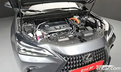 Lexus NX 2024 2.5 гидро в Москве № 1150713, миниатюра 6