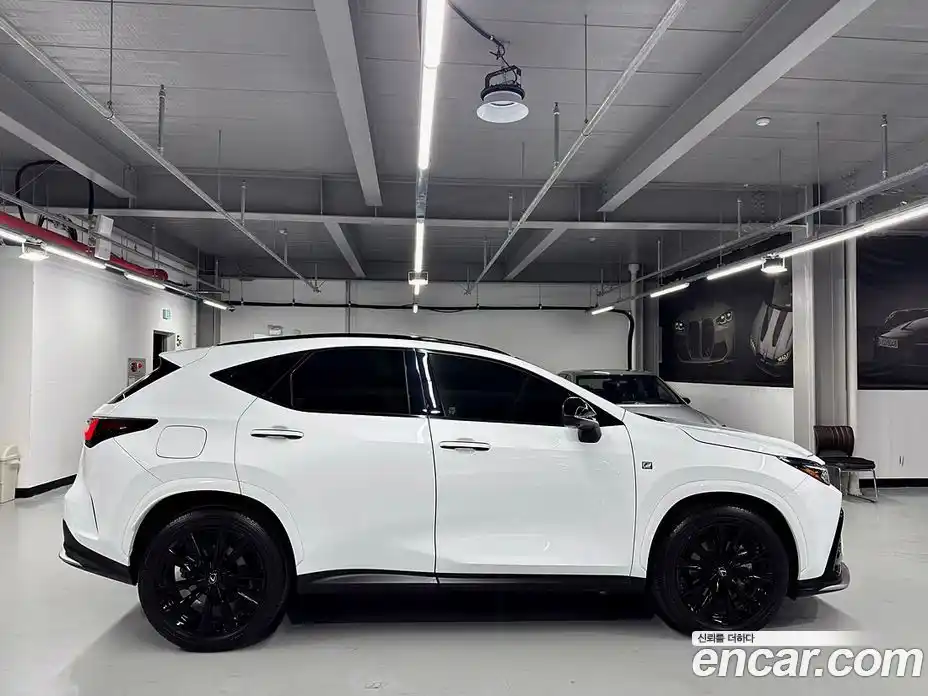 Lexus NX 2023 2.5 гидро в Москве № 198803, фото 5