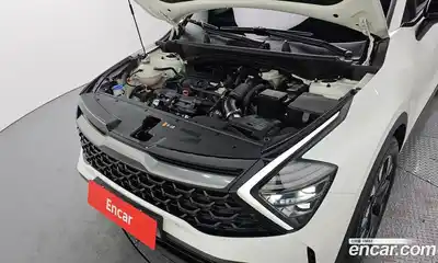 Kia Sportage 2023 1.6 гидро в Москве № 16707, миниатюра 6