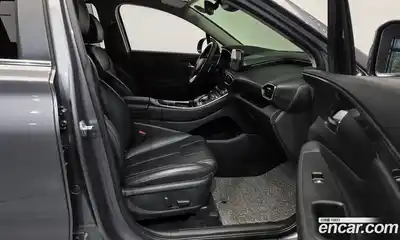 Hyundai Santa Fe 2020 2.2 гидро в Москве № 1172013, миниатюра 11