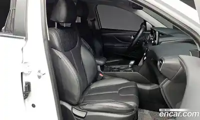 Hyundai Santa Fe 2019 2.0 гидро в Москве № 1171952, миниатюра 10