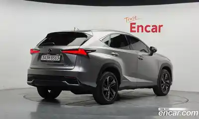 Lexus NX 2020 2.5 гидро в Москве № 1197651, миниатюра 2