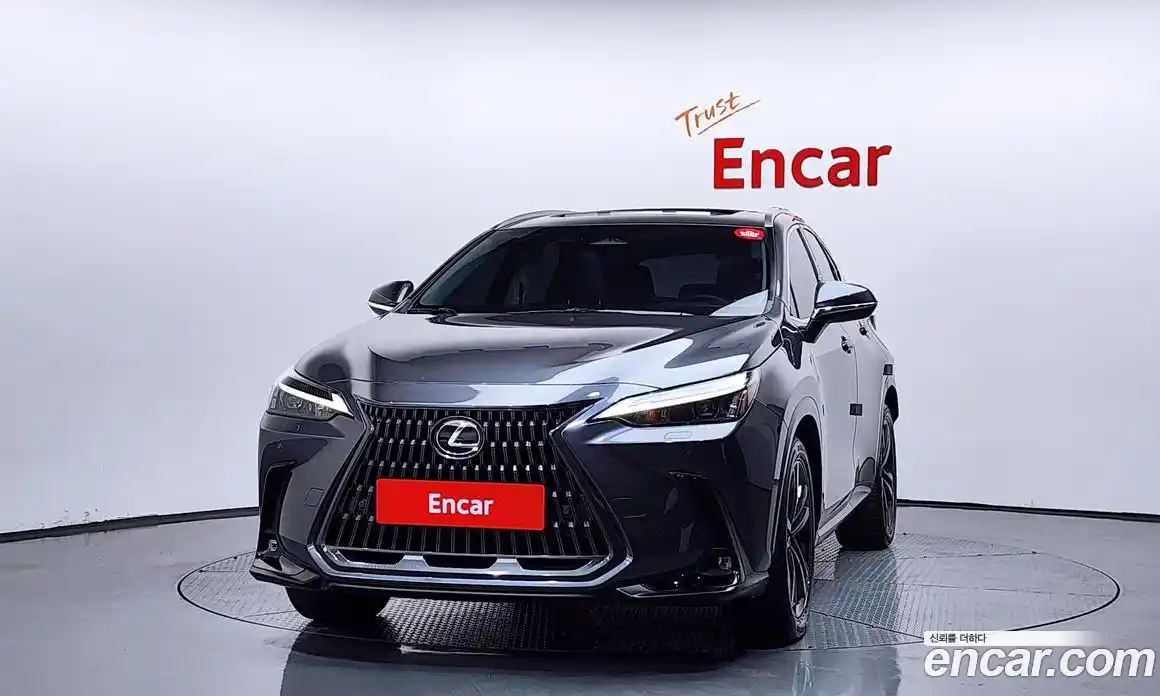 Lexus NX 2023 2.5 гидро в Москве № 1197713, фото 3