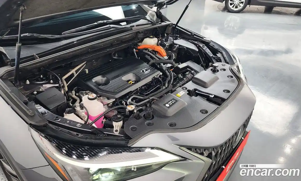 Lexus NX 2023 2.5 гидро в Москве № 1197713, фото 6