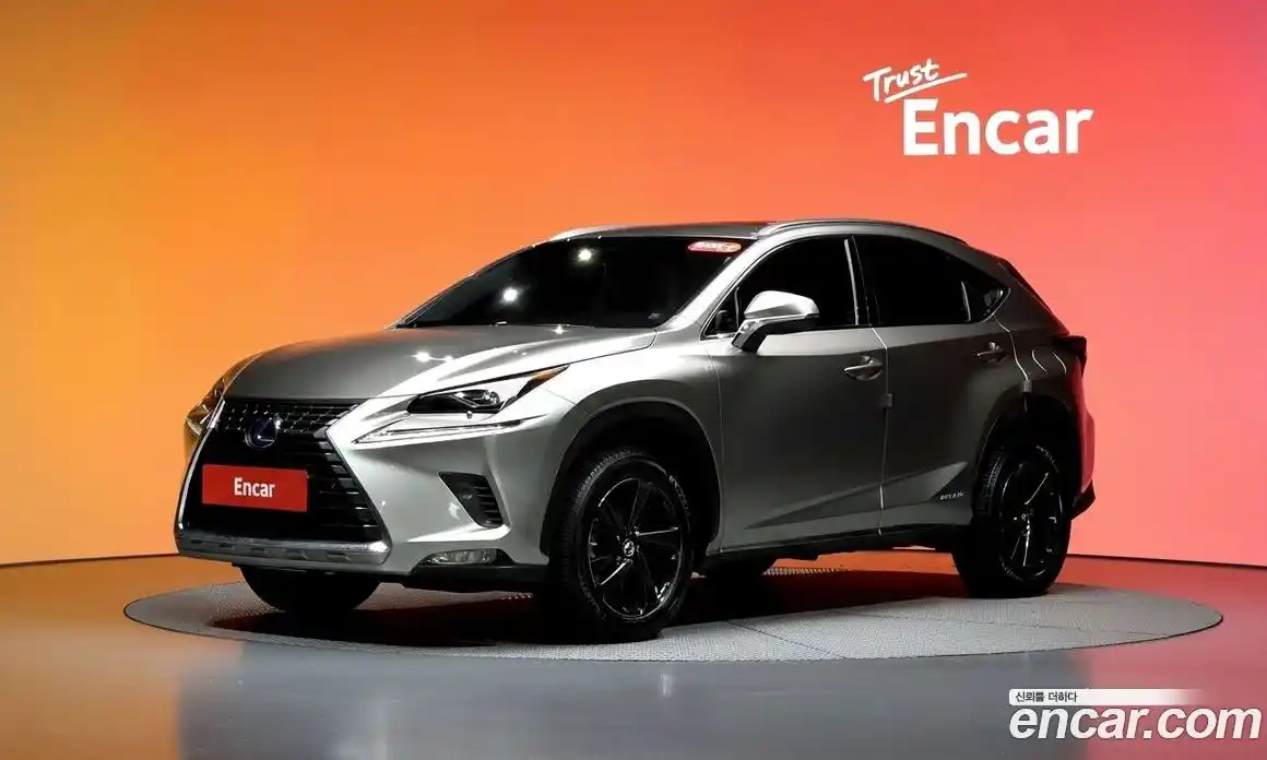 Lexus NX 2018 2.5 гидро в Москве № 1197668, фото 20
