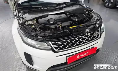 Land Rover Range-Rover Evoque 2020 2.0 гидро в Москве № 1196599, миниатюра 5