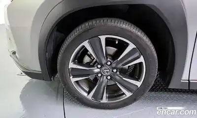Lexus UX 2021 2.0 гидро в Москве № 1197664, миниатюра 5
