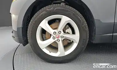 Jaguar F-Pace 2019 2.0 гидро в Москве № 1199797, миниатюра 5