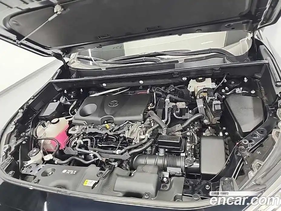 Toyota RAV4 2019 2.5 гидро в Москве № 1151721, фото 5