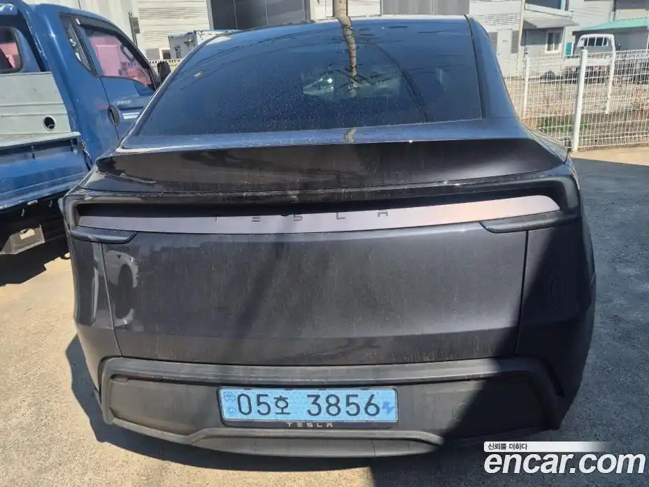 Tesla Model Y 2025 гидро в Москве № 1197588, фото 5