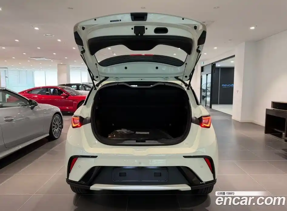 BYD Dolphin 2026 гидро в Москве № 1200643, фото 20