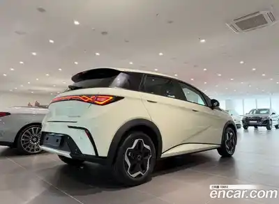 BYD Dolphin 2026 гидро в Москве № 1200643, миниатюра 2