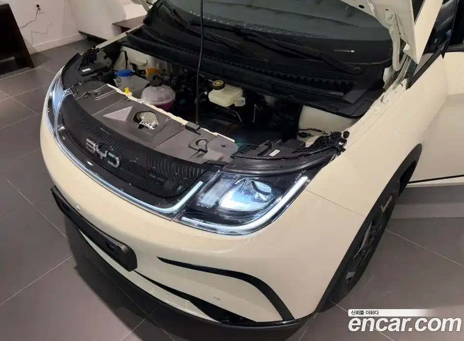 BYD Dolphin 2026 гидро в Москве № 1200643, фото 6