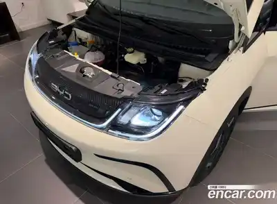 BYD Dolphin 2026 гидро в Москве № 1200643, миниатюра 6