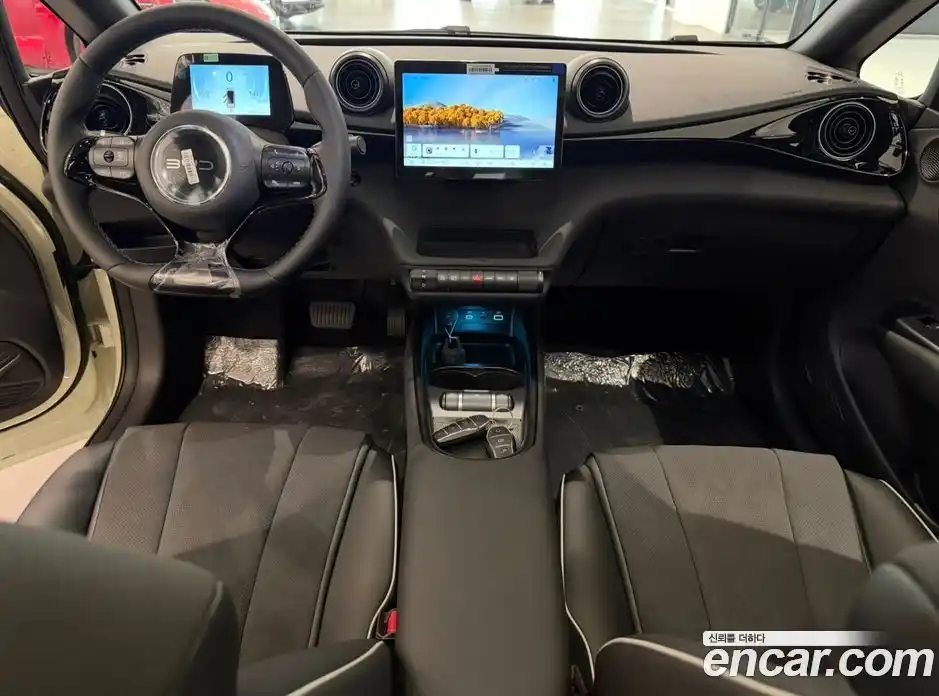 BYD Dolphin 2026 гидро в Москве № 1200643, фото 7