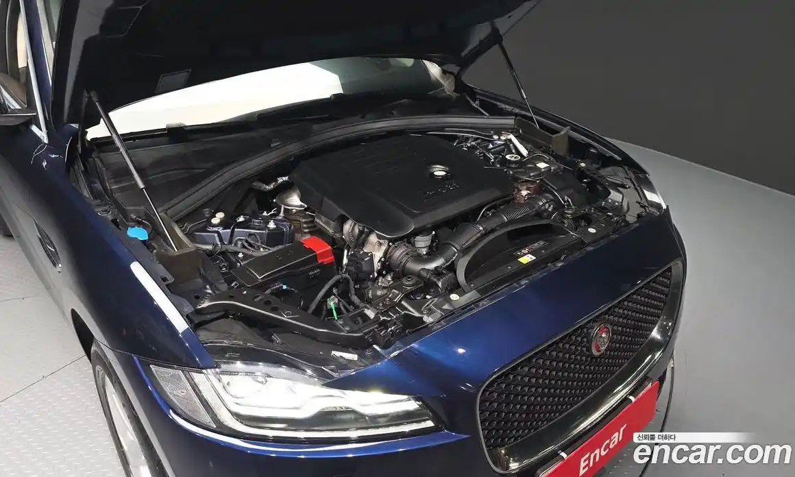 Jaguar F-Pace 2020 2.0 гидро в Москве № 1283466, фото 6