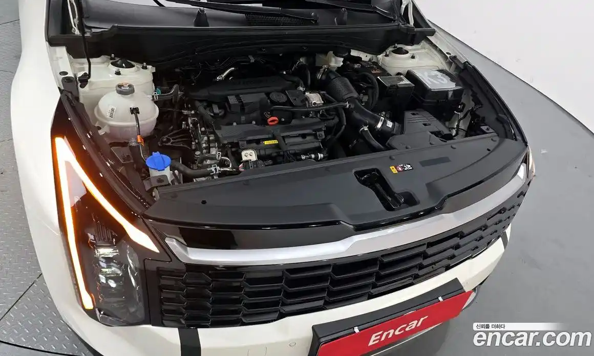 Kia Sportage 2025 1.6 гидро в Москве № 1244866, фото 6
