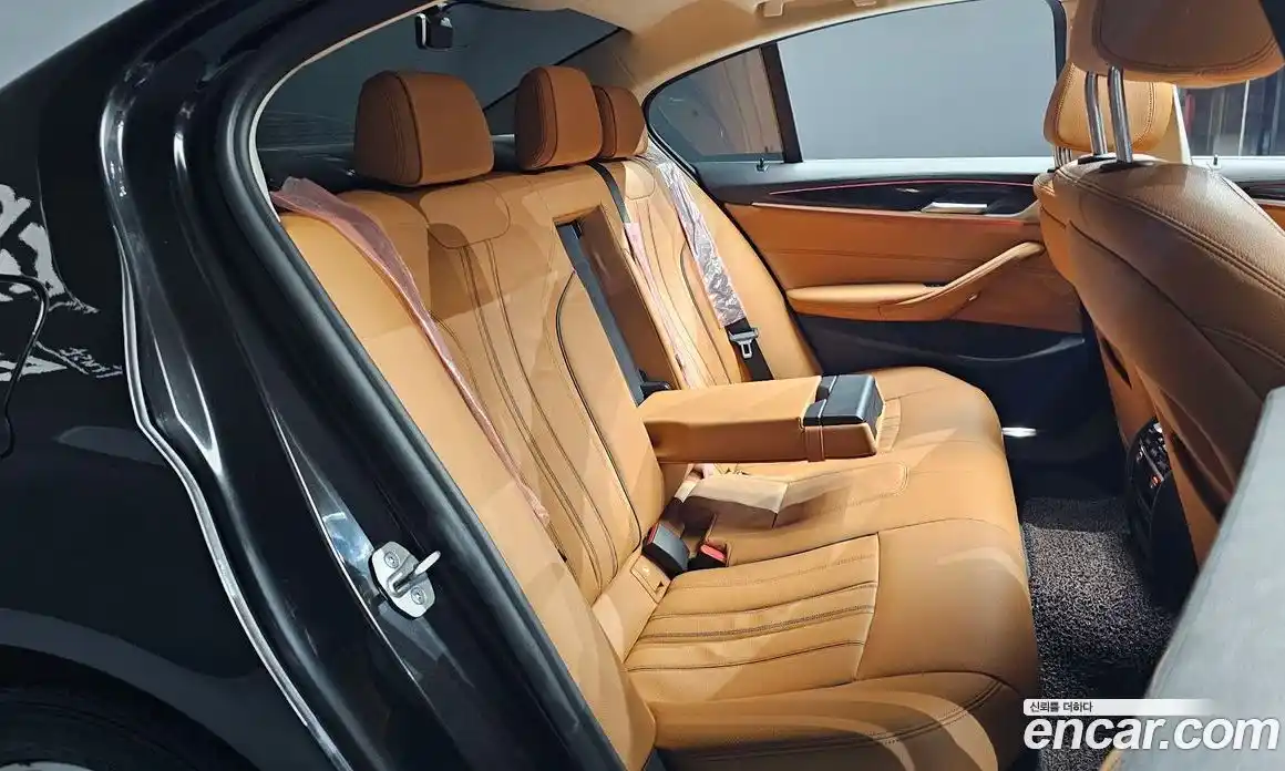 BMW 5-Series 2019 2.0 гидро в Москве № 1290567, фото 12