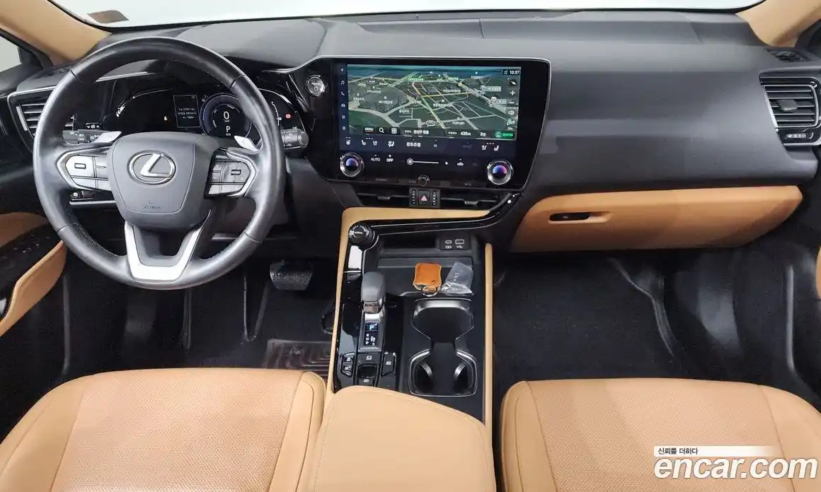 Lexus NX 2023 2.5 гидро в Москве № 198834, фото 7