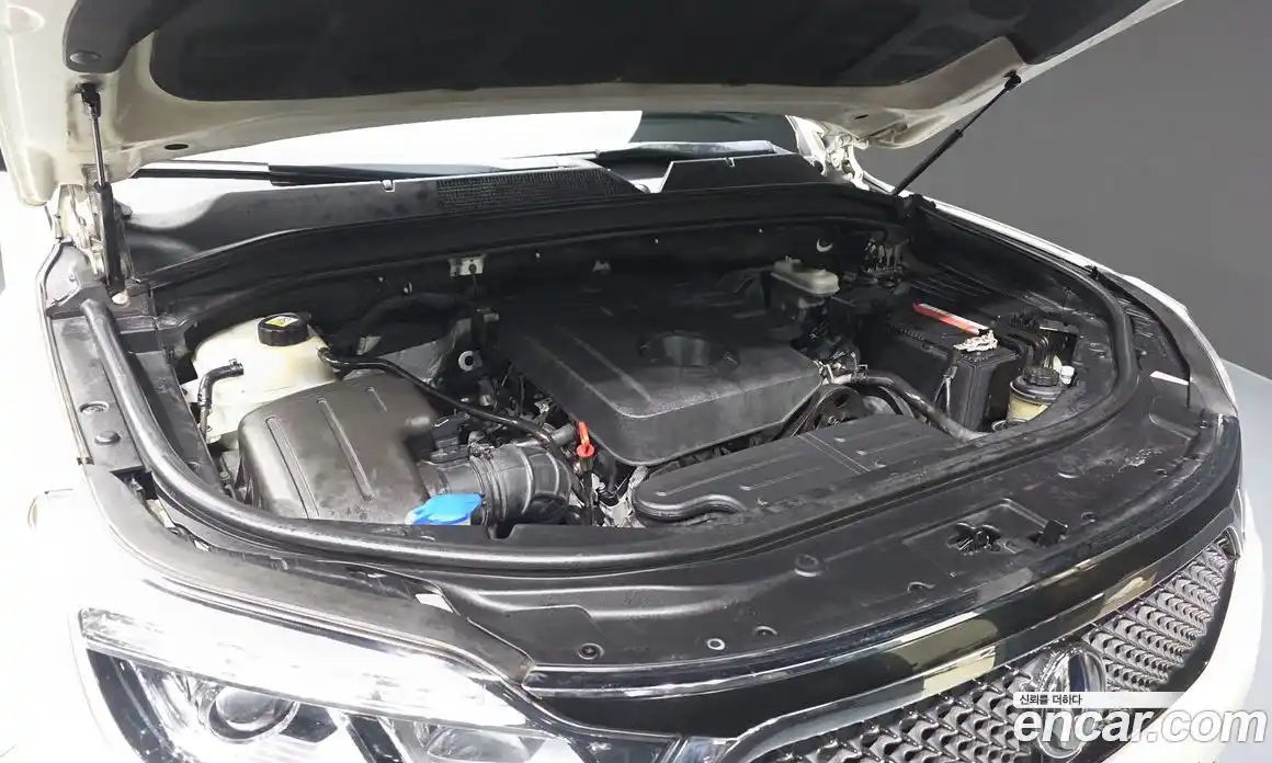SsangYong Rexton 2018 2.2 гидро в Москве № 1246060, фото 6