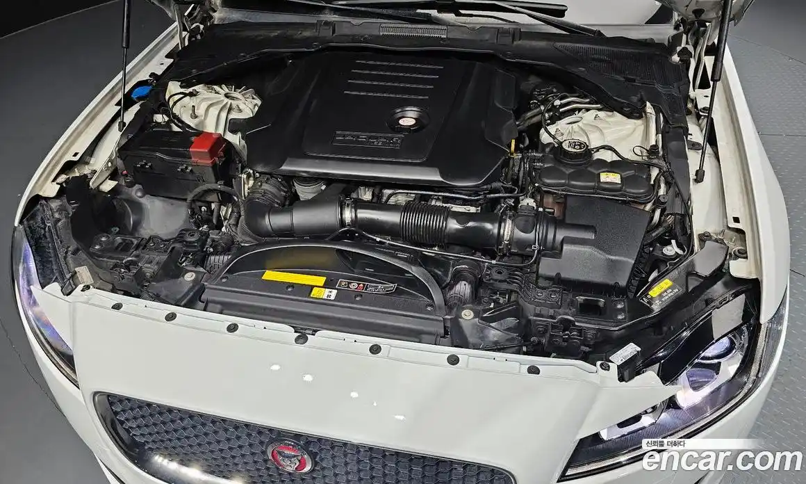 Jaguar XF 2018 2.0 гидро в Москве № 1295097, фото 6