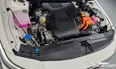 Hyundai Avante 2025 1.6 гидро в Москве № 1317373, миниатюра 6