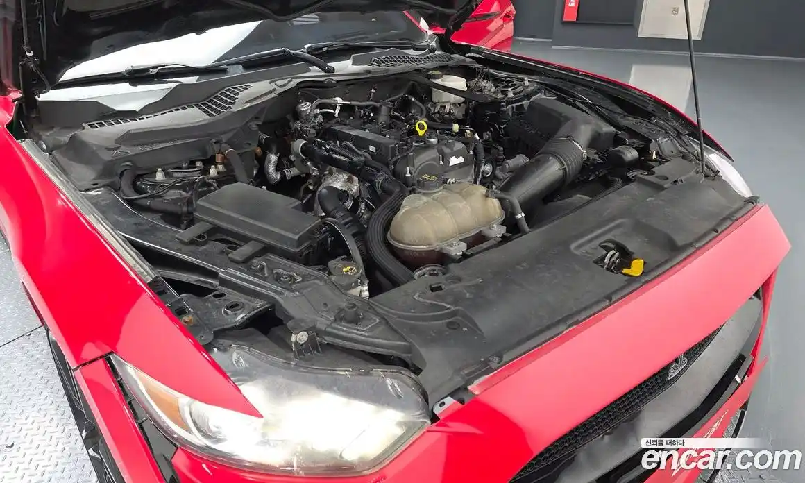 Ford Mustang 2015 2.3 гидро в Москве № 1324064, фото 6