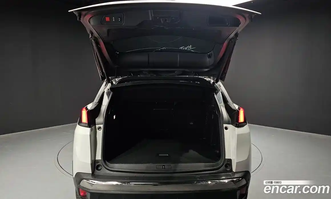 Peugeot 3008 2019 2.0 гидро в Москве № 1324398, фото 20