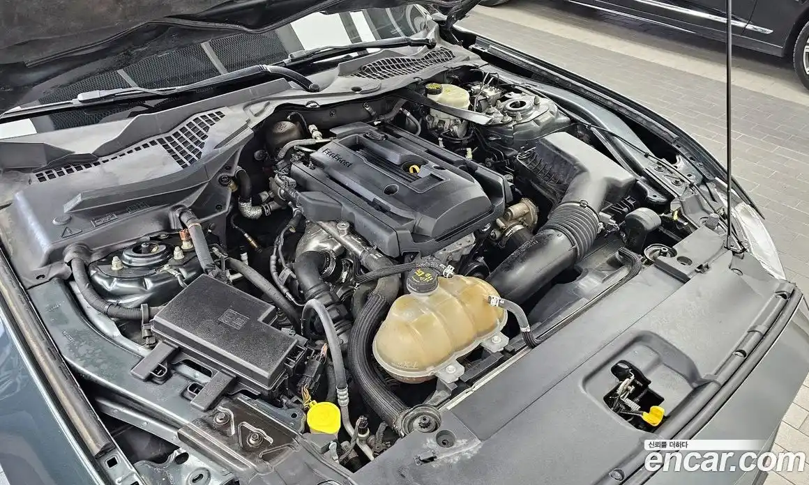 Ford Mustang 2015 2.3 гидро в Москве № 1324055, фото 6