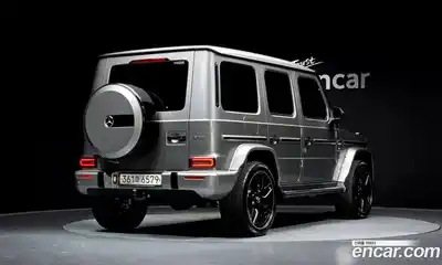 Mercedes-Benz G-Class 2019 4.0 гидро в Москве № 1348088, миниатюра 2
