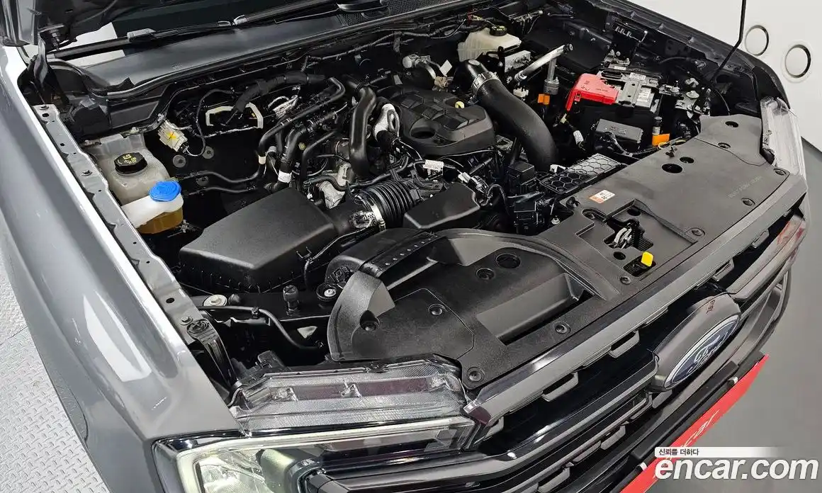 Ford Ranger 2023 2.0 гидро в Москве № 1323917, фото 6