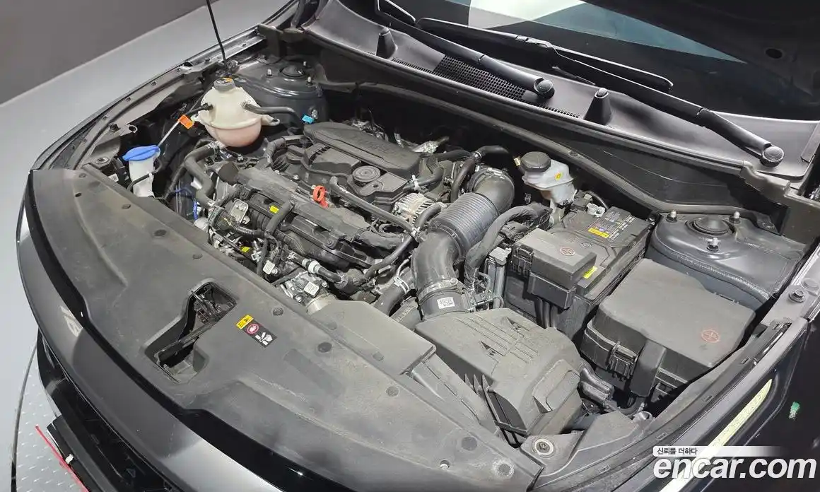 Kia Sportage 2024 1.6 гидро в Москве № 1342671, фото 6