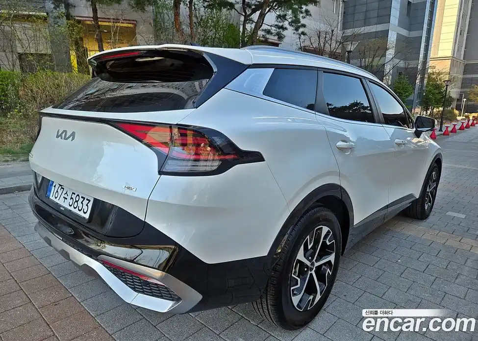 Kia Sportage 2024 1.6 гидро в Москве № 1318323, фото 6