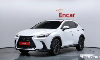 Lexus NX, 2022
