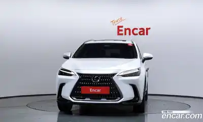 Lexus NX 2022 2.5 гидро в Москве № 168110, миниатюра 3