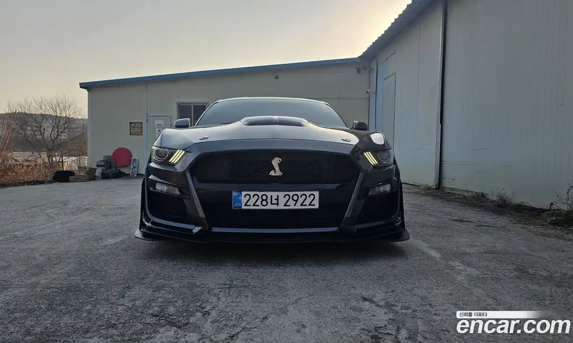 Ford Mustang 2016 2.3 гидро в Москве № 1324093, фото 3