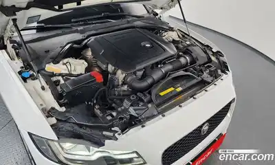 Jaguar XF 2017 2.0 гидро в Москве № 1351139, миниатюра 6
