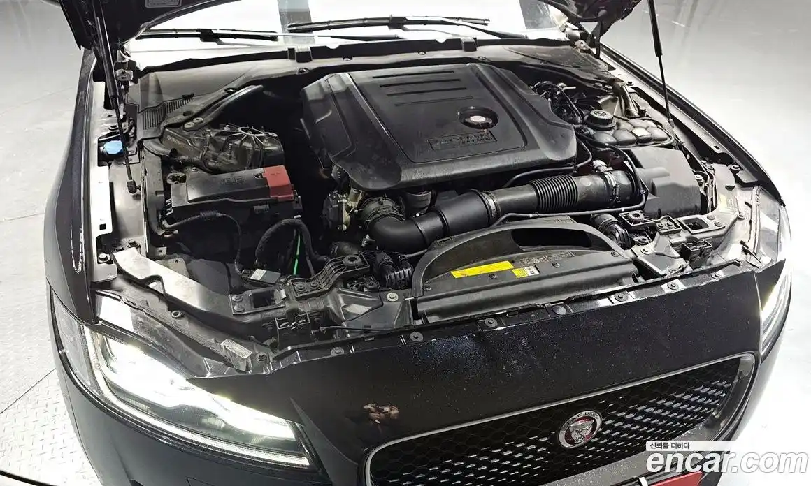 Jaguar XF 2019 2.0 гидро в Москве № 320145, фото 6