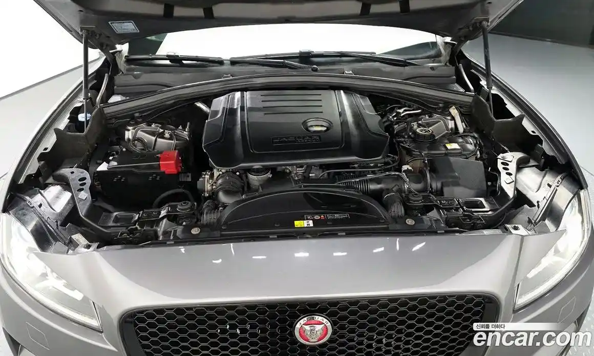 Jaguar F-Pace 2016 2.0 гидро в Москве № 1404536, фото 6