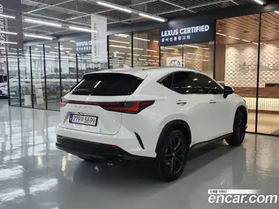 Lexus NX 2025 2.5 вариатор в Москве № 1405424, миниатюра 2