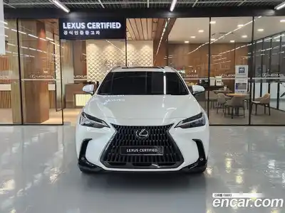 Lexus NX 2025 2.5 вариатор в Москве № 1405424, миниатюра 3