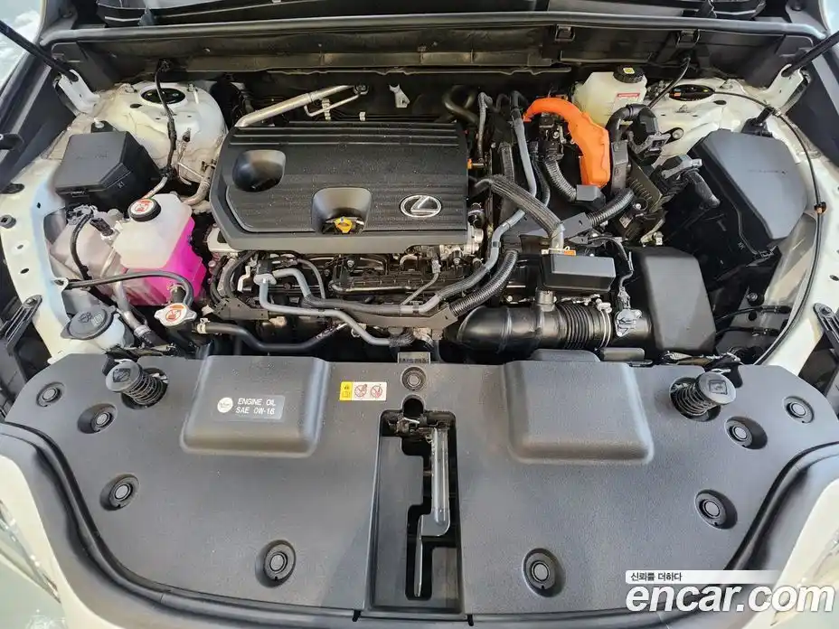 Lexus NX 2025 2.5 вариатор в Москве № 1405424, фото 6