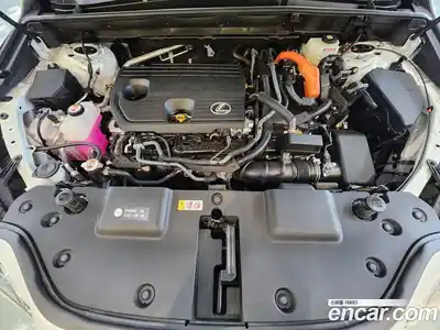 Lexus NX 2025 2.5 вариатор в Москве № 1405424, миниатюра 6