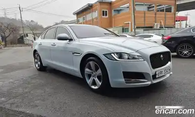 Jaguar XF 2018 2.0 гидро в Москве № 1423172, миниатюра 2