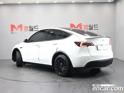Tesla Model Y 2024 гидро в Москве № 1423921, миниатюра 4