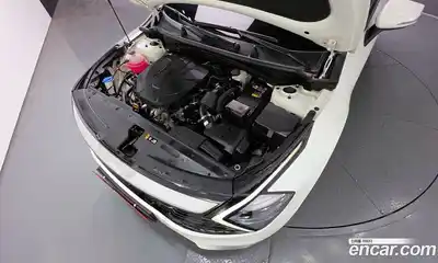 Kia Sportage 2023 2.0 гидро в Москве № 1418134, миниатюра 6