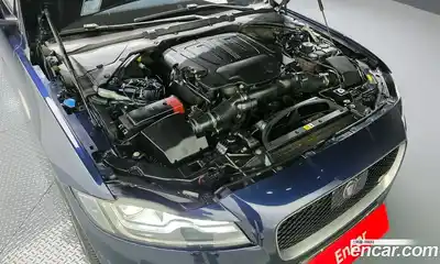 Jaguar XF 2016 3.0 гидро в Москве № 1422584, миниатюра 6